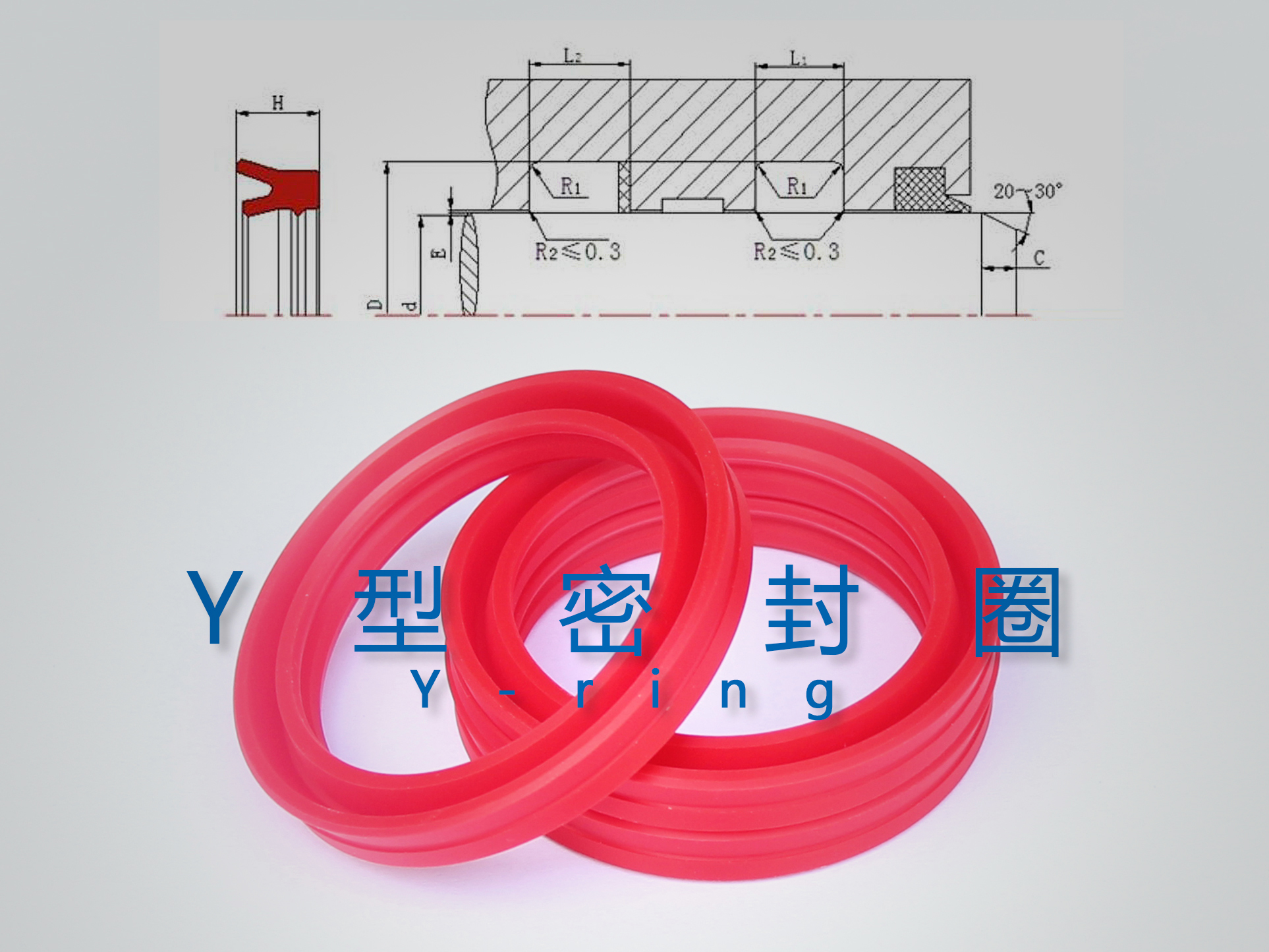 Y型密封圈（密封件、油封）與截面結構產品圖
