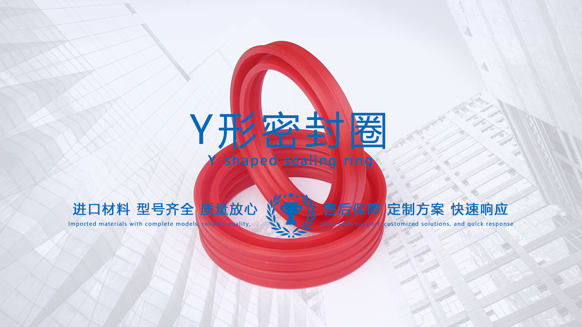 y型密封圈（又Y形密封圈，Y形圈，Y型圖或唇形密封圈，密封件油封膜片） (3)