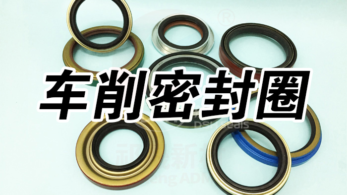 4車削密封圈密封件油封產品大全 副本祁晟
